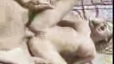 বড়ো সোনা চোদা মাই, শ্যামাঙ্গিণী, ব্লজব