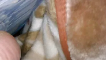 ব্রাজার্স: পর্নএইচডি-তে নতুন দাসী চোদা চোদি করা আইসিসের প্রেম চোদা