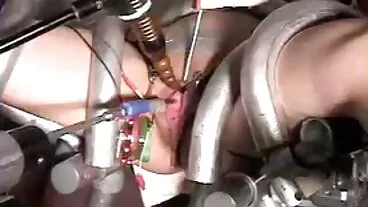 হাঙ্গর পিএস পিএস পূরণ চোদা চৌদি করে